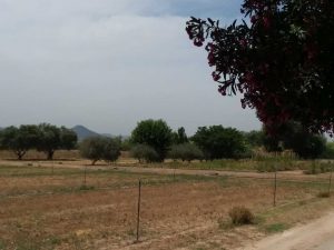Agrarian Park Baix Llobregat.